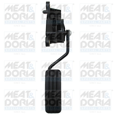 Accelerator Pedal Unit
